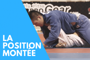 position montée jiu jitsu mount technique beginner conseils