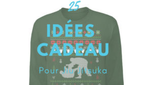 idée cadeau jiu jitsu jjb