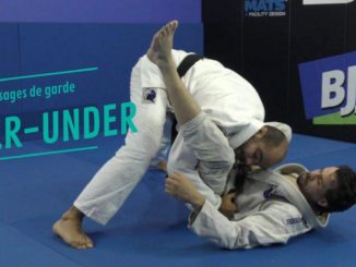 passage de garde over under bernardo faria.jpg