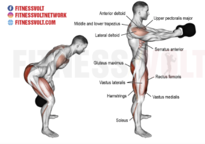 kettlebell swing fessiers